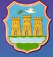 SHIELD OF NOVI SAD